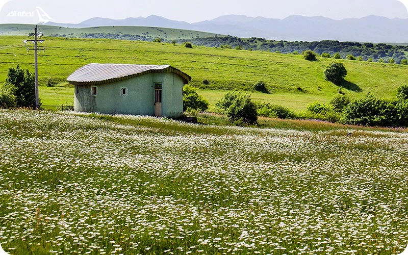 در بازدید از جنگل کجا بمانیم؟ اقامت در جنگل فندقلو